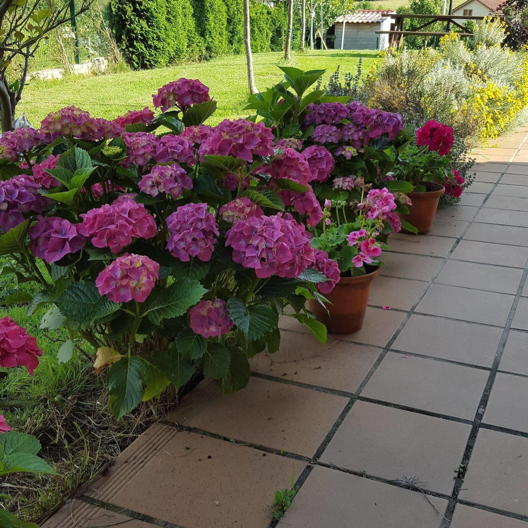 Hotel Rural Foncubierta Soto Del Barco Εξωτερικό φωτογραφία