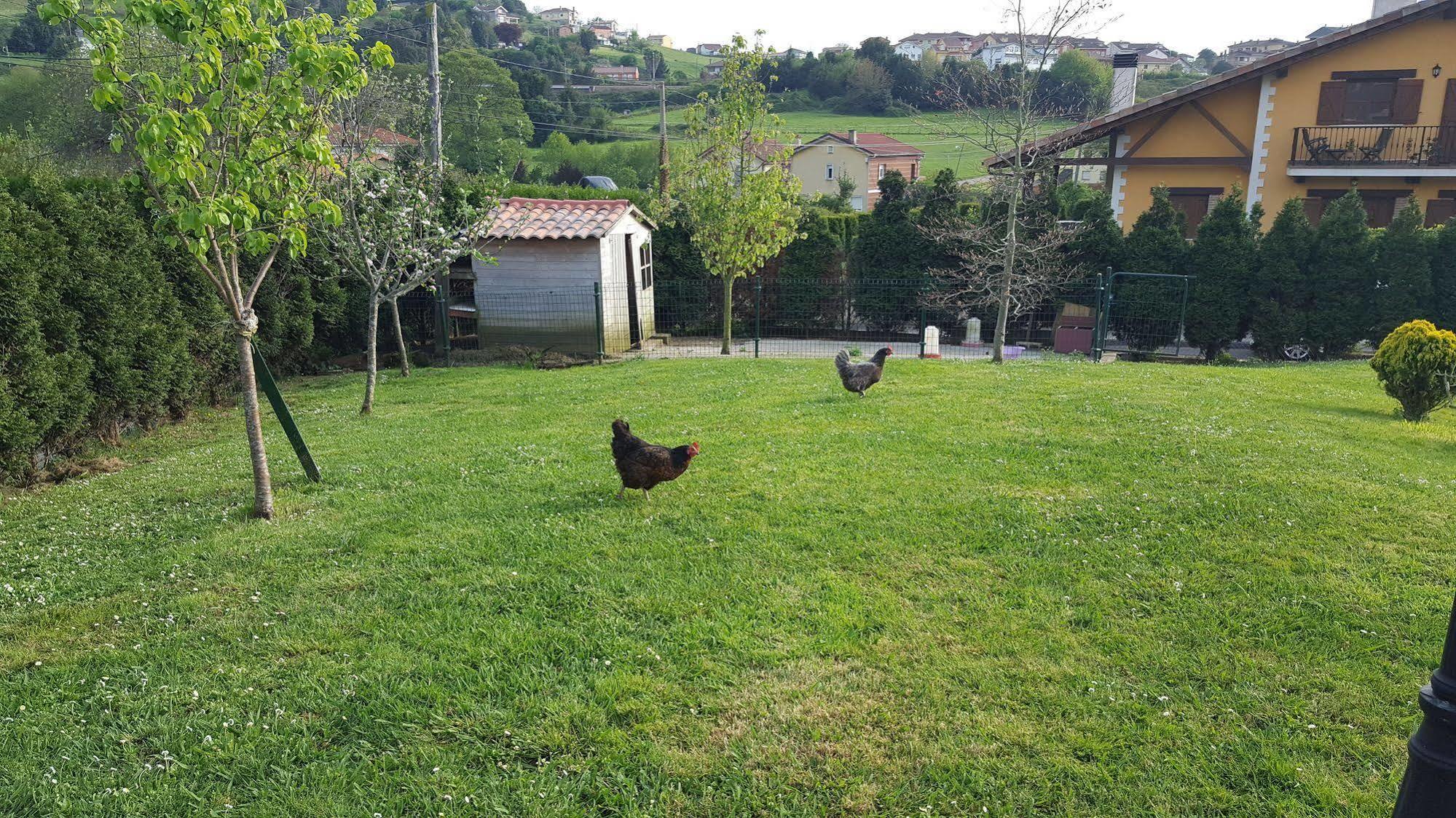 Hotel Rural Foncubierta Soto Del Barco Εξωτερικό φωτογραφία