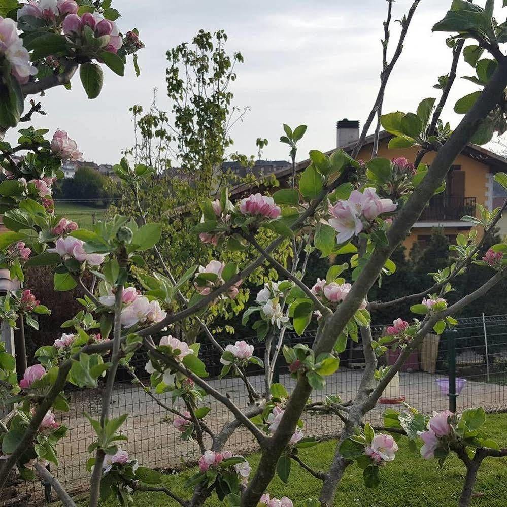 Hotel Rural Foncubierta Soto Del Barco Εξωτερικό φωτογραφία